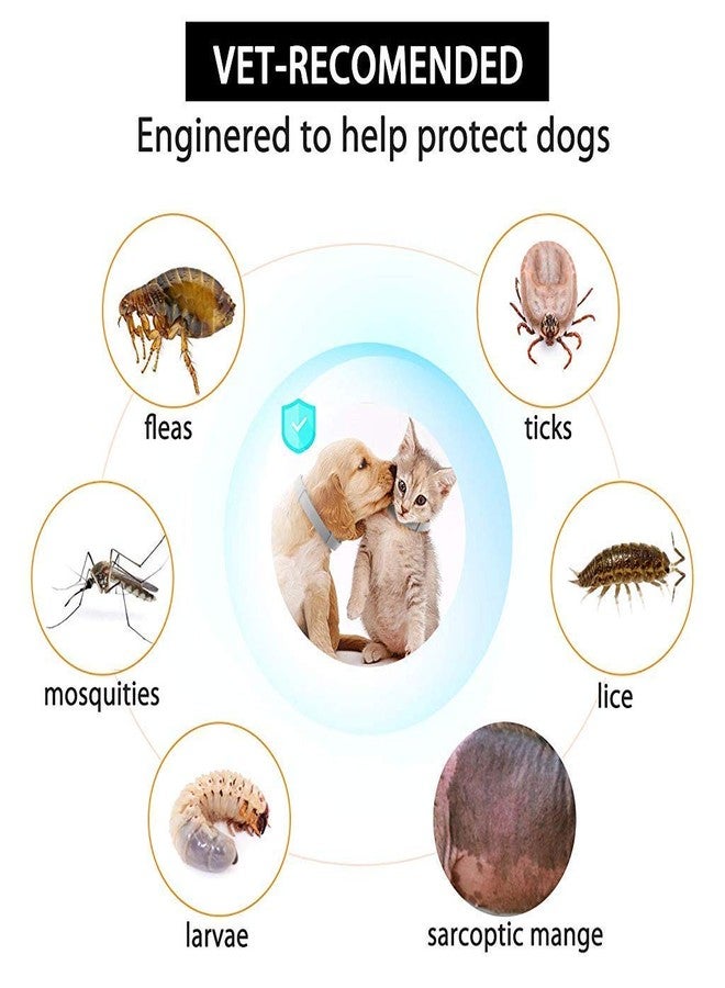 CRAZYABBS Flea and Tick Collar - 8 Month Protection Adjustable Waterproof Collar for Dog Puppy Kitten Cats, Natural & Safe Efficiently Repell Locust Lice of Pets - Image 5